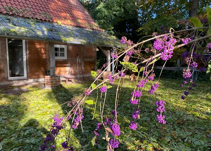 - Artland's - Fuer Familien Und Gruppen Semesterbostad *